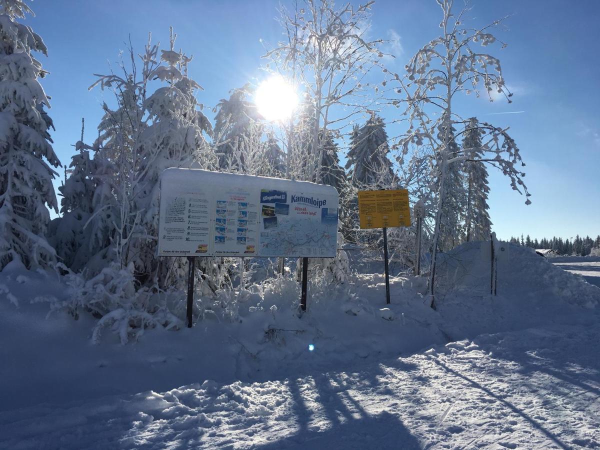 Am Duerrenbachtal Lägenhet Klingenthal Exteriör bild