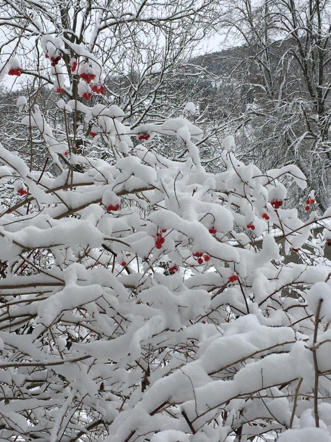 Am Duerrenbachtal Lägenhet Klingenthal Exteriör bild