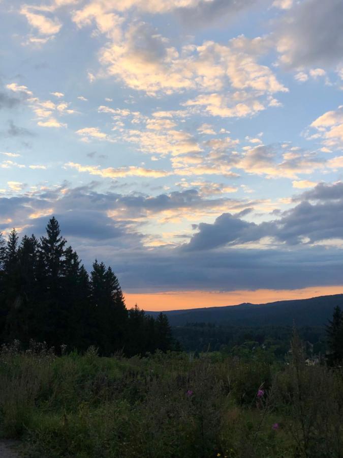 Am Duerrenbachtal Lägenhet Klingenthal Exteriör bild
